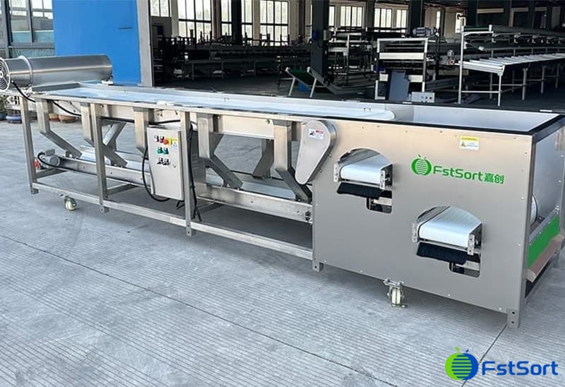 images/1754621340950blueberry sorting.jpg